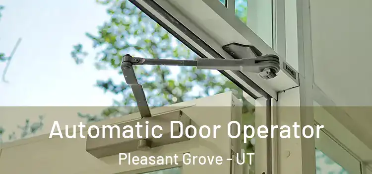 Automatic Door Operator Pleasant Grove - UT