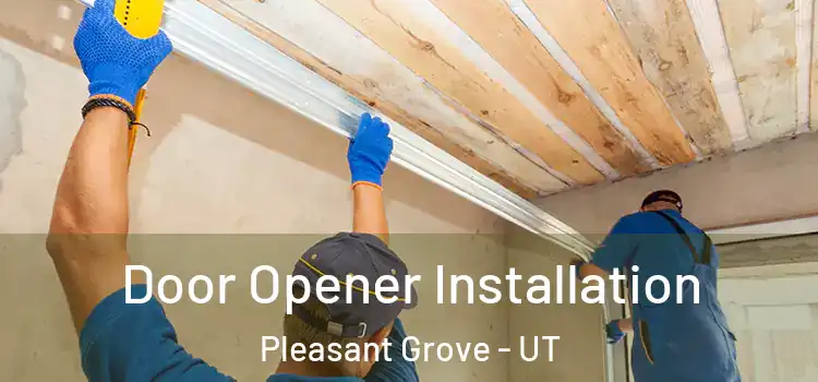  Door Opener Installation Pleasant Grove - UT