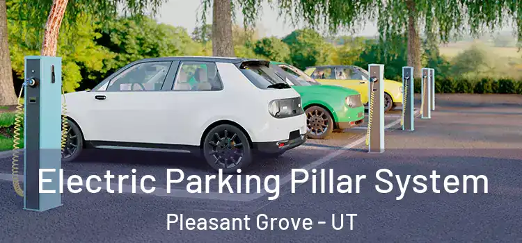  Electric Parking Pillar System Pleasant Grove - UT