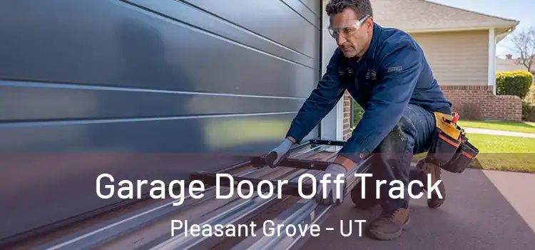  Garage Door Off Track Pleasant Grove - UT