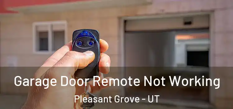  Garage Door Remote Not Working Pleasant Grove - UT