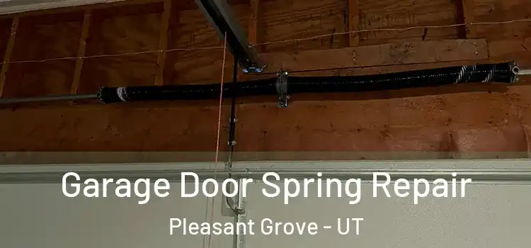  Garage Door Spring Repair Pleasant Grove - UT