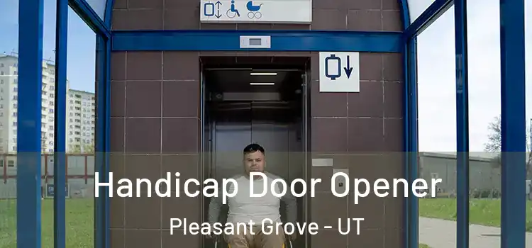 Handicap Door Opener Pleasant Grove - UT